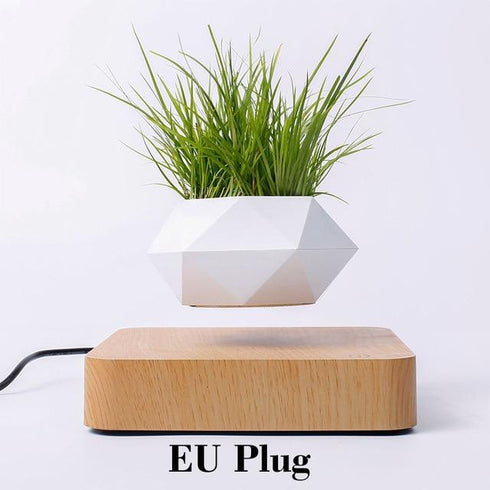 LevPot™ 2 - Levitating Mini Bonsai Pot